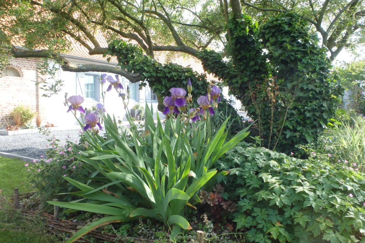 Au Reve En Somme Bed & Breakfast Hautvillers-Ouville Exterior photo